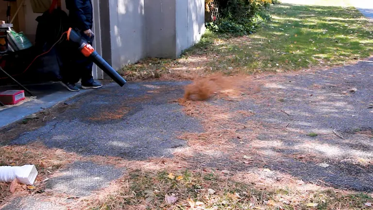 Worx Turbine 600 electric leaf blower in use, blowing pine needles and leaves off a driveway.