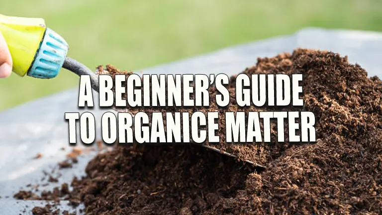 A Beginner’s Guide to Organic Matter: Transform Your Garden with Ease