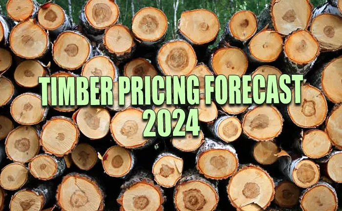 Timber Pricing Forecast 2024: Lumber Market Analysis & Insights