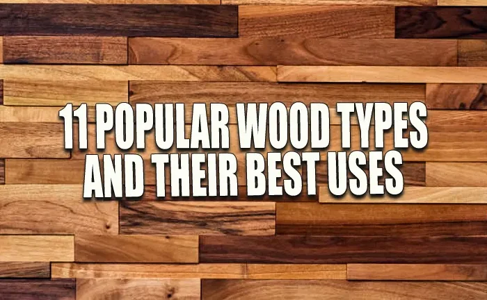 11 Popular Wood Types and Their Best Uses