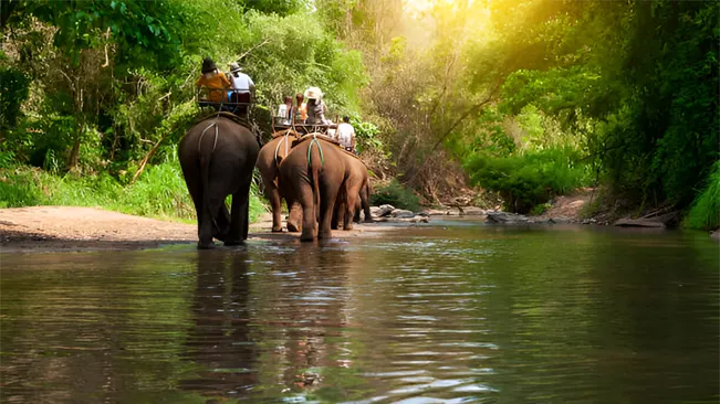 Eco-Tourism