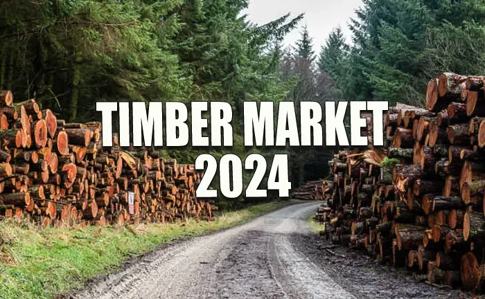 Timber Market 2024: New Opportunities & Latest Trends
