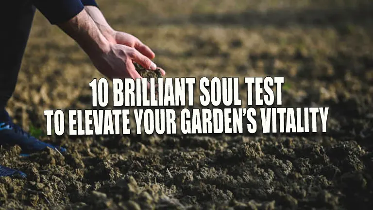 10 Brilliant Soil Tests to Elevate Your Garden's Vitality