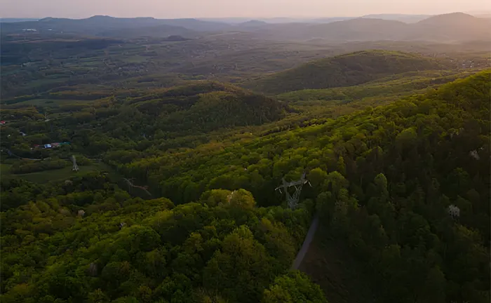 Effective Forest Management of Aerial view of a lush, green forest with rolling hills and distant mountains under a sunset sky