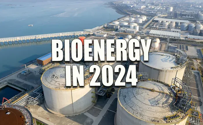 Bioenergy in 2024: Strong Timber Market Drivers & Positive Price Trends