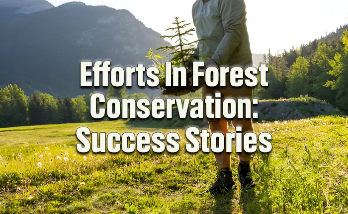 7 Efforts in Forest Conservation: Success Stories