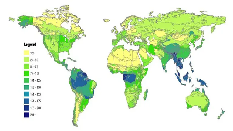 Global Forest Carbon Stocks