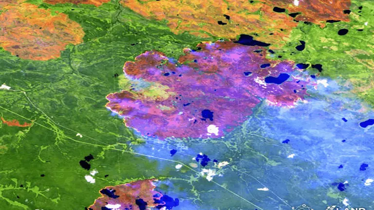 Remote Sensing and GIS in Carbon Monitoring