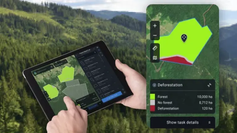 Future Directions in Forest Carbon Research