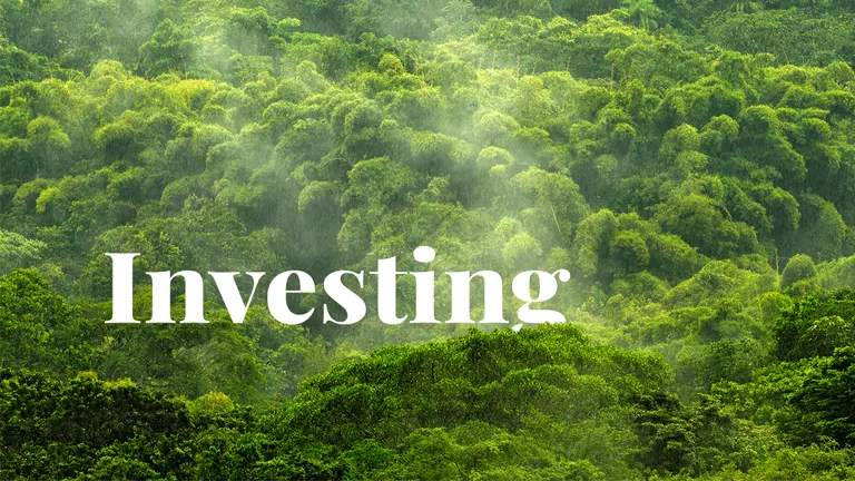 Understanding Invest in Forestry