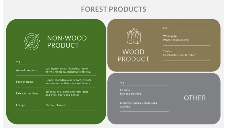 Economic Benefits of Investing in Forestry