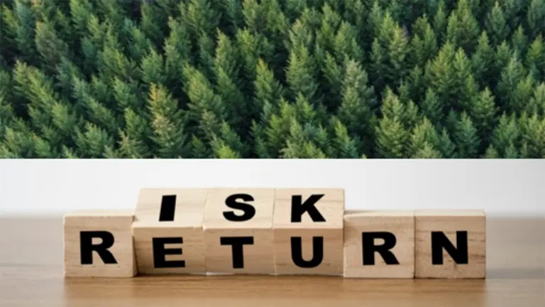 Mitigating Risks in Forestry Investments