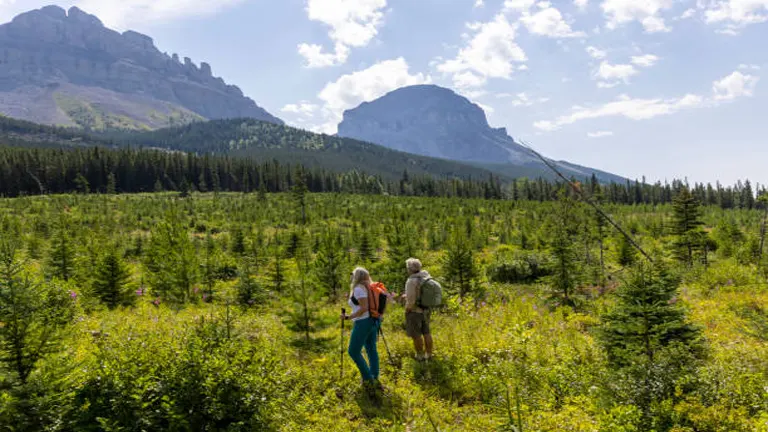 Sustainable Forestry Practices