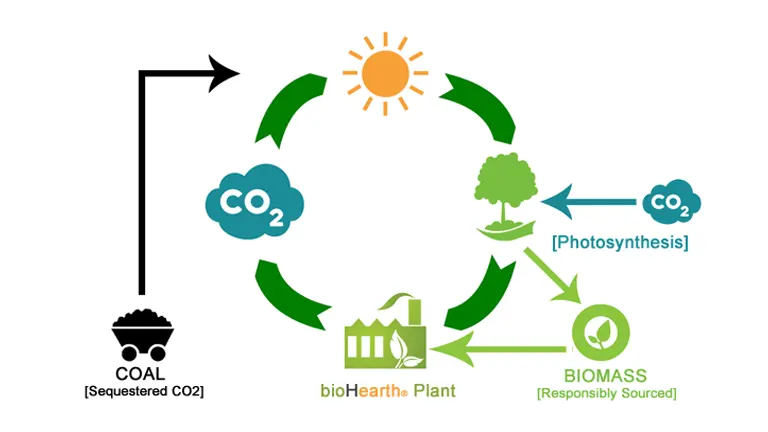 Understanding Sustainable Forest Bioenergy