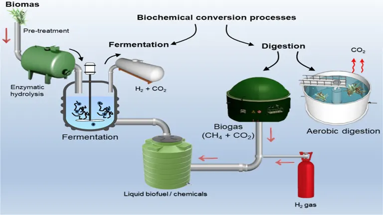 Bioenergy Conversion Technologies