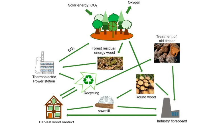 Challenges in Sustainable Forest Bioenergy