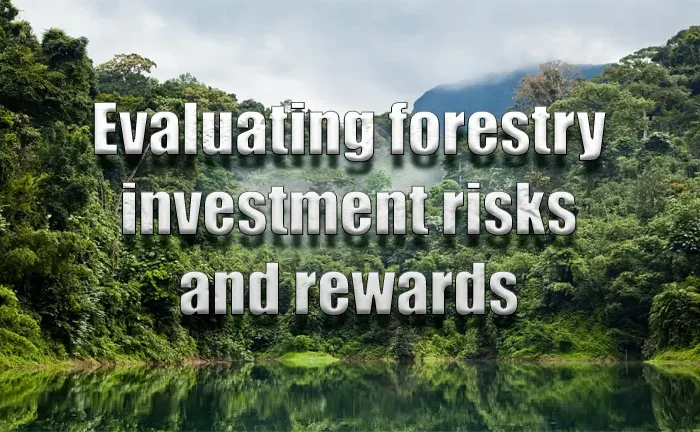 Evaluating Forestry Investment Risks and Rewards