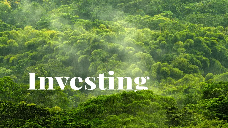 Forestry investment