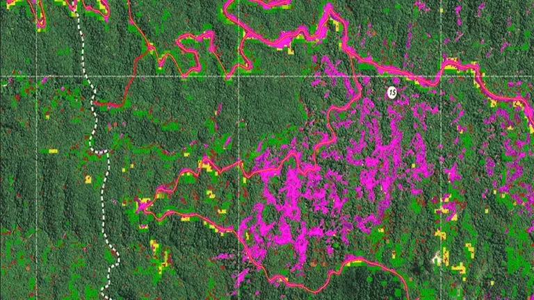 Technological Innovations in Forestry