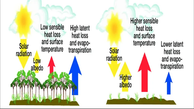 Climate Regulation