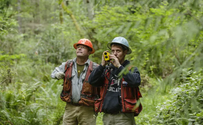 Two forestry workers using measurement tools in a forest, demonstrating sustainable forest management practices.