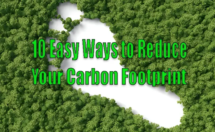 10 Easy Ways to Reduce Your Carbon Footprint