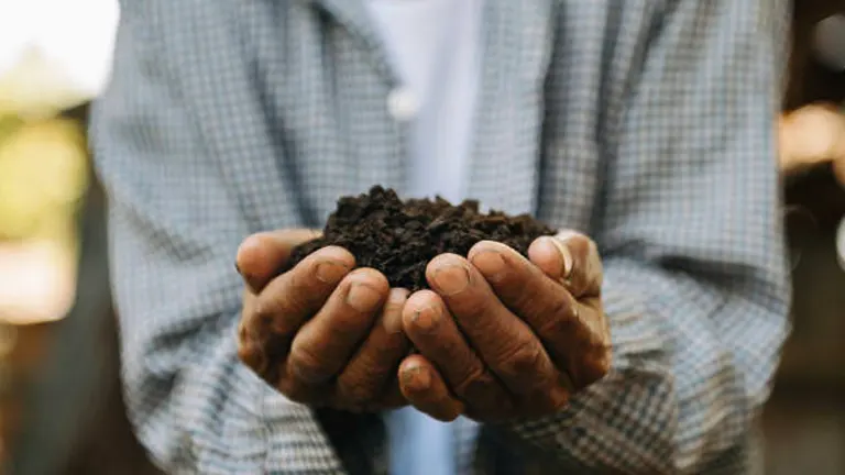 Close-up of a person's hands holding a clump of rich, dark soil, symbolizing fertile ground.