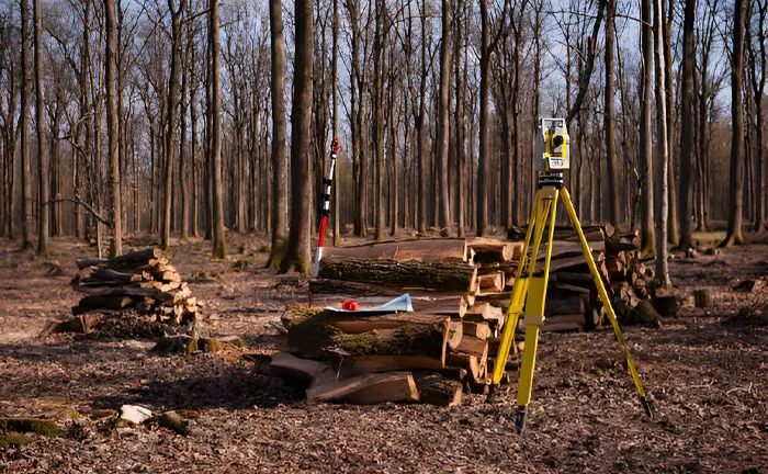 Surveying equipment and stacked logs in a managed forest, illustrating forest inventory and silvicultural practices.