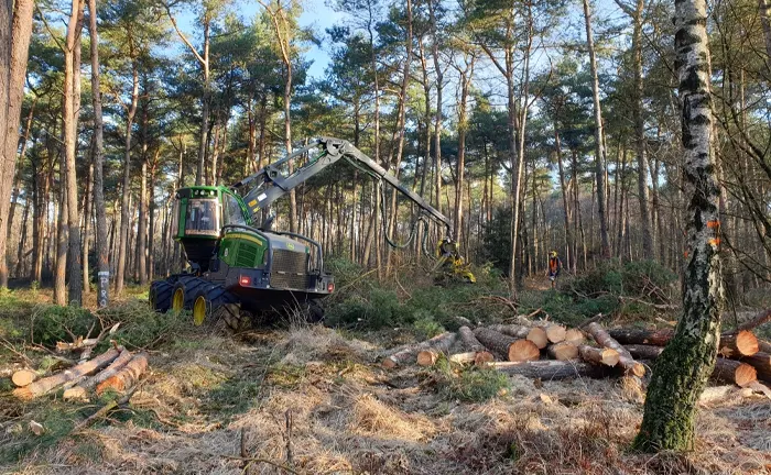 Forestry machine harvesting trees in a managed forest, demonstrating sustainable forestry practices.