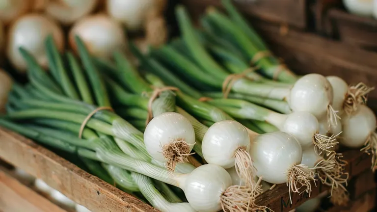 Bunching onions neatly arranged in a wooden crate at a market, showcasing their white bulbs and green stalks.
