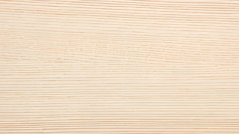 Close-up of light-colored wood grain with fine, linear patterns.