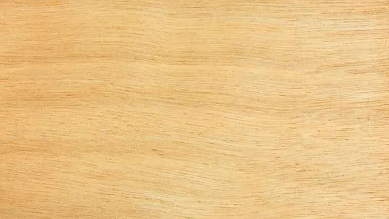 Close-up of light wood grain texture