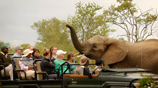 Tourists in safari vehicle observing an elephant.