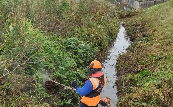 Worker clearing vegetation near a stream to maintain healthy water flow and prevent overgrowth.