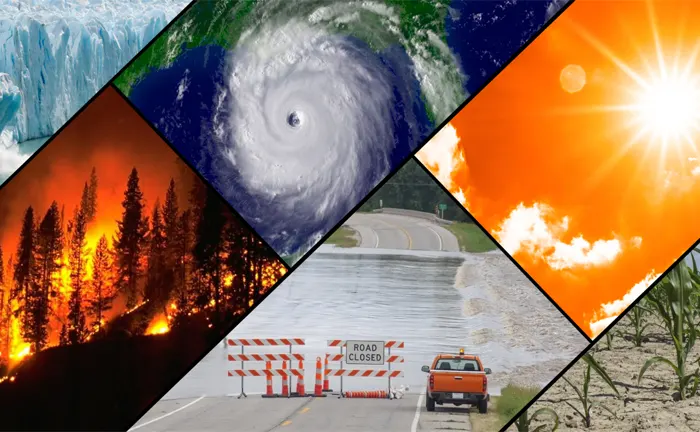 Collage of extreme weather events, emphasizing the role of forest management in mitigating climate change impacts