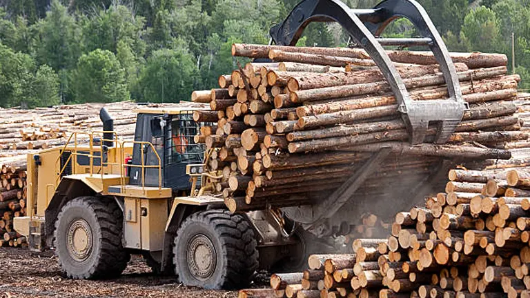 Heavy machinery lifting a bundle of logs at a logging site.