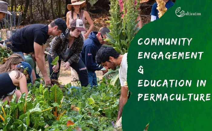 Group of people participating in community permaculture education and engagement.