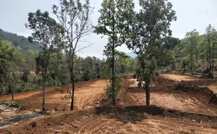 Partially cleared forest area with exposed soil and remaining trees.