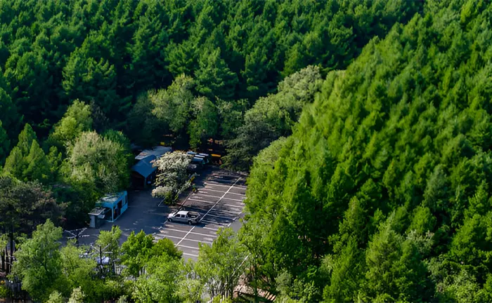 Aerial view of a parking area surrounded by dense, green forest, illustrating the balance between human activity and sustainable forestry.