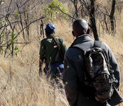 Two people walking through dry, grassy terrain