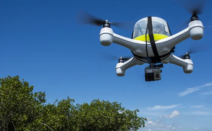 Drone flying over a forest canopy for monitoring.