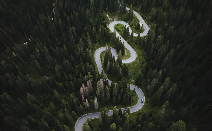 A winding road through a dense forest, illustrating access for forest management and conservation activities.