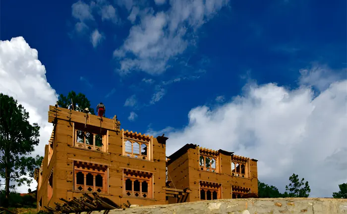 Construction of wooden buildings under a blue sky, highlighting sustainable wood use in forest biodiversity efforts.