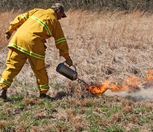 Firefighter using drip torch for controlled burn.