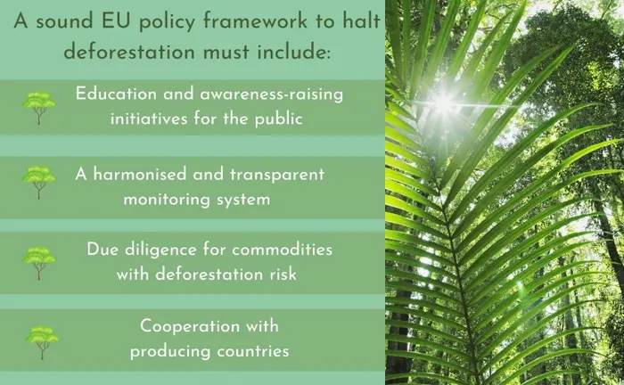 Infographic listing EU policy framework elements to halt deforestation, emphasizing education, monitoring, due diligence, and cooperation.