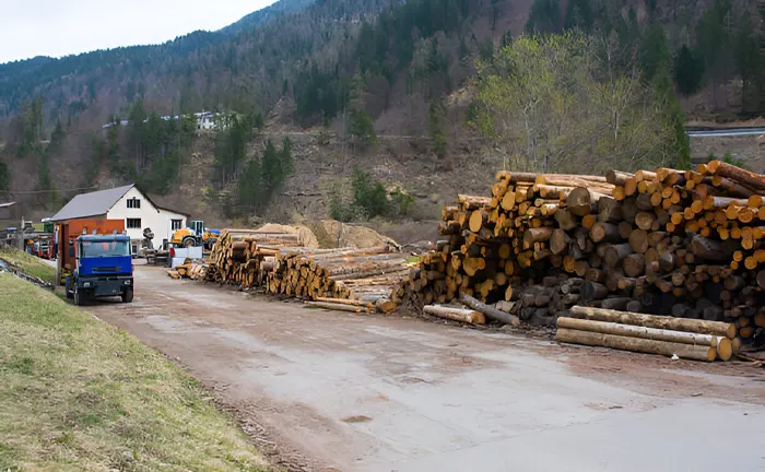 Stacks of logged timber and machinery in a mountainous area, representing sustainable logging practices