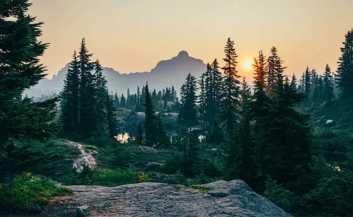 Sunrise over a mountain forest, illustrating the importance of forest management for ecosystem health and natural beauty.