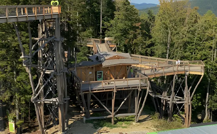 Elevated wooden walkways and observation platforms in a forest, illustrating sustainable eco-tourism and forest management practices.