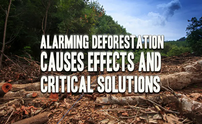 Alarming Deforestation: Causes, Effects, and Critical Solutions