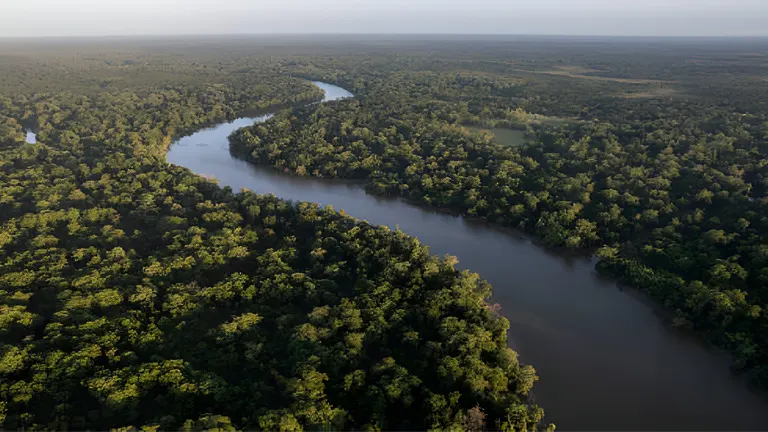 Amazon Rainforest Faces Increased Vulnerability Amid Climate Change